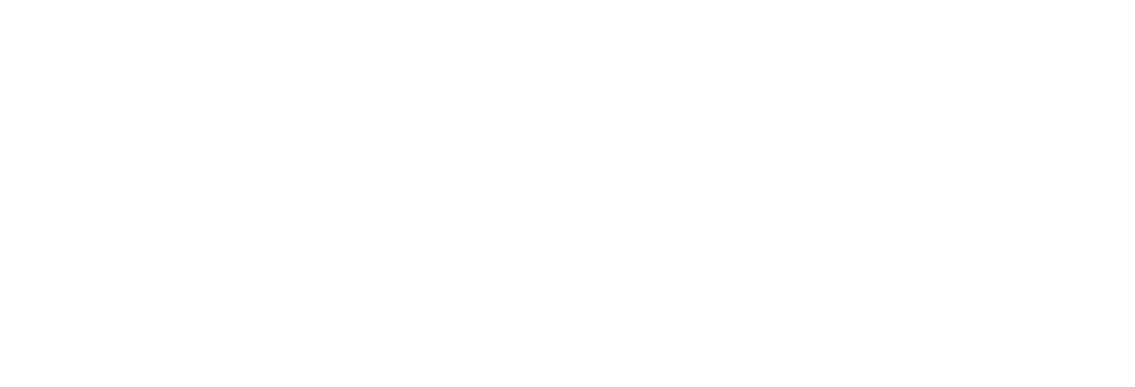 Develop North logo
