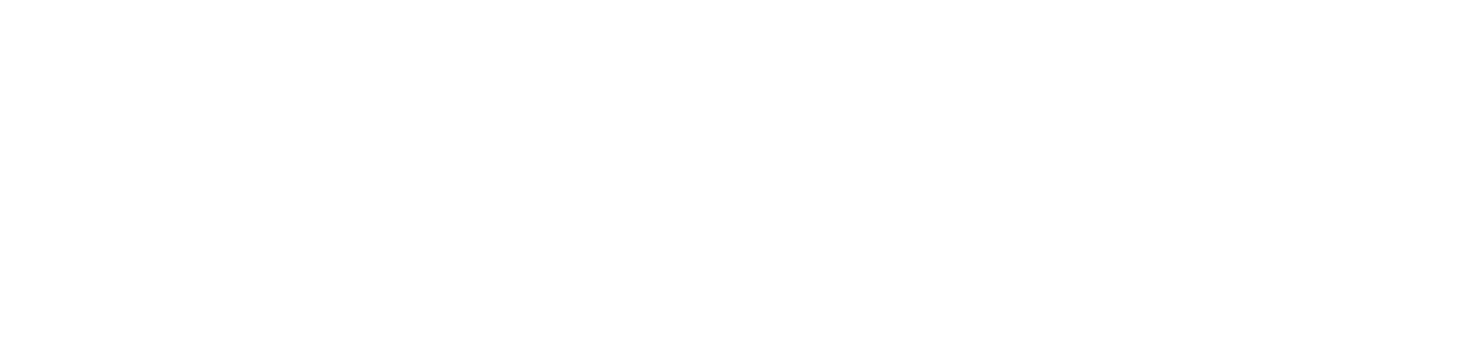 Dunwoodie Swift Architects logo
