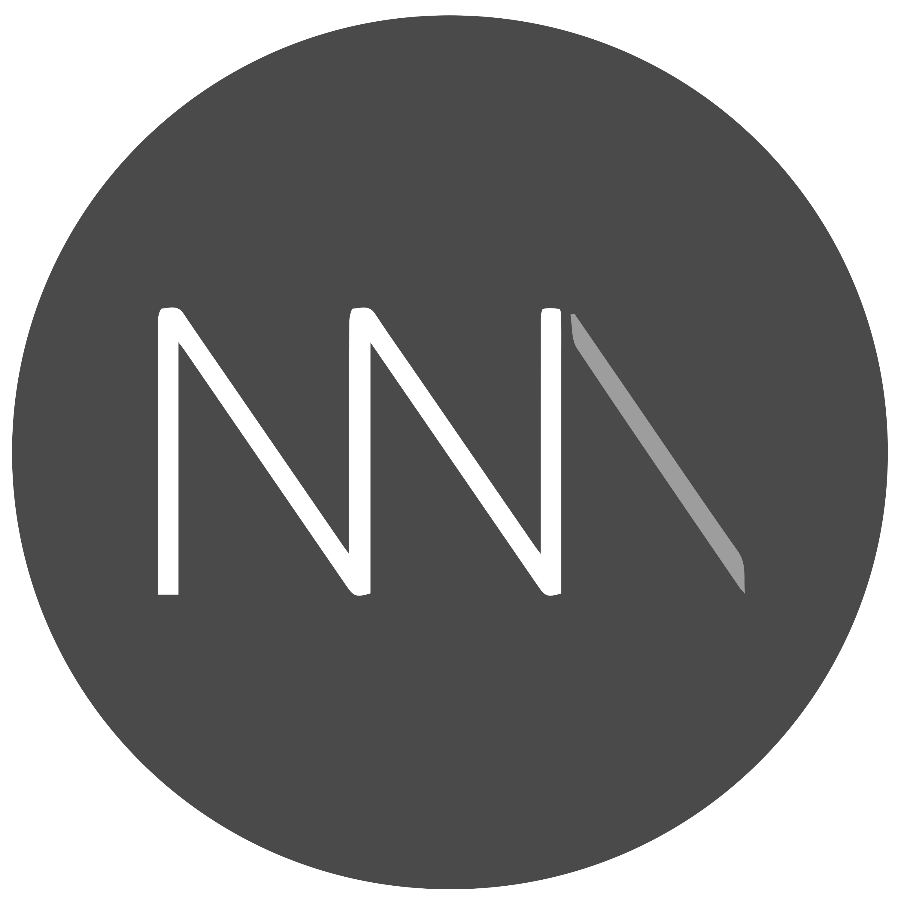 Nicholson Nairn Architects logo